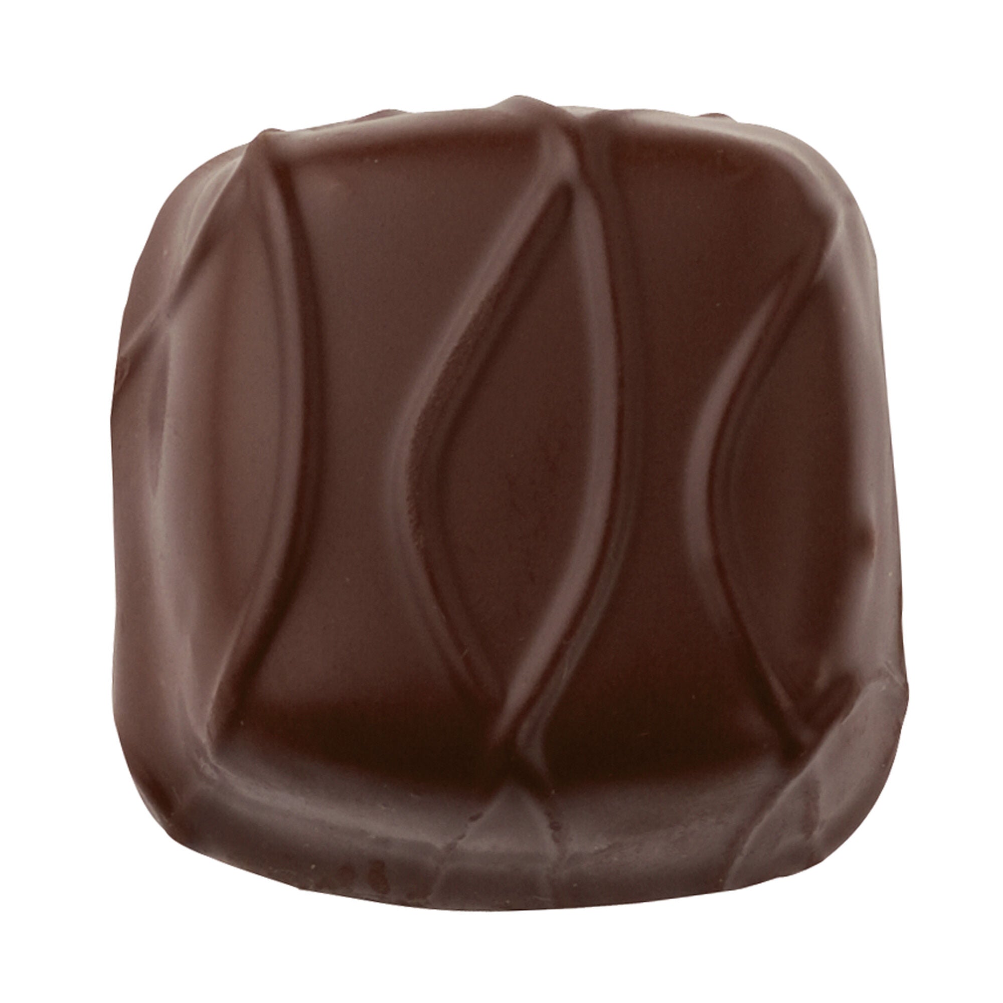 Dark Chocolate Chip Truffle